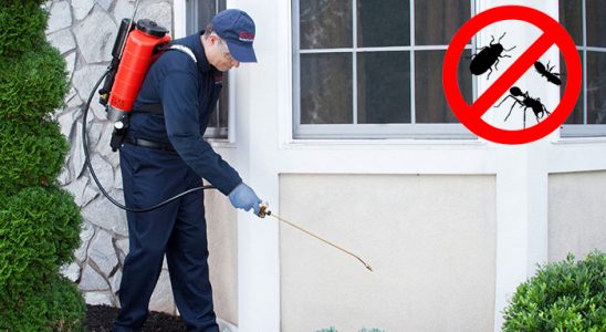 Boztepe Kene İlaçlama böcek ilaçlama ve haşere kontrolü — ilaclama-tr.com
